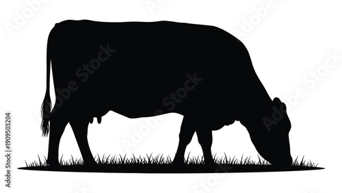 A black silhouette of a cow grazing on a field of green grass isolated on white background, Vector
