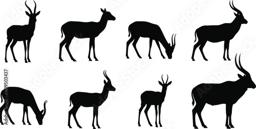 Set of antelope silhouettes in various standing and grazing poses isolated on white background, black vector African wildlife collection