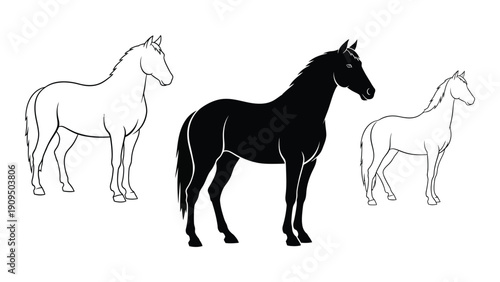 Three horses of different colors standing in a row on a white background isolated on white background, Vector