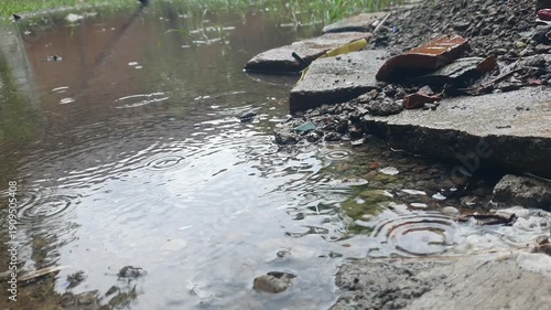Close up of raindrops falling into a puddle creating circular ripples on the water surface during a heavy rain storm
