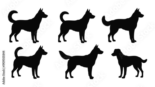 Six distinct silhouettes of dogs in various poses and breeds. isolated on white background, Vector