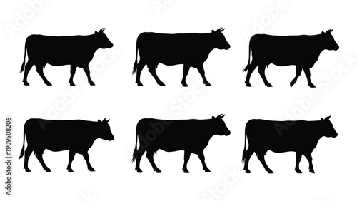Silhouettes of cows walking in a row against a white background isolated on white background, Vector