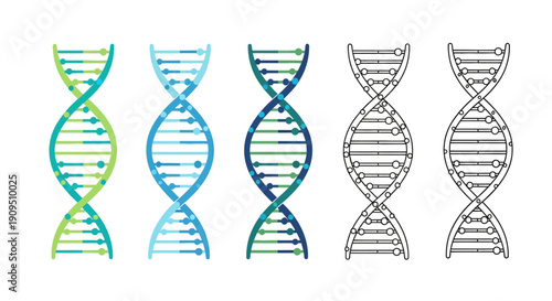 Illustration of DNA double helix structures in various colors and line styles on a clean background, showcasing molecular biology concepts