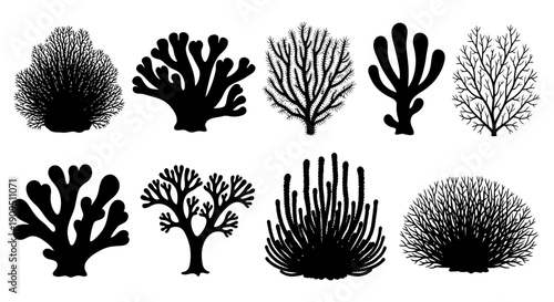 Collection of various black and white coral silhouettes on a plain background viewed from directly above