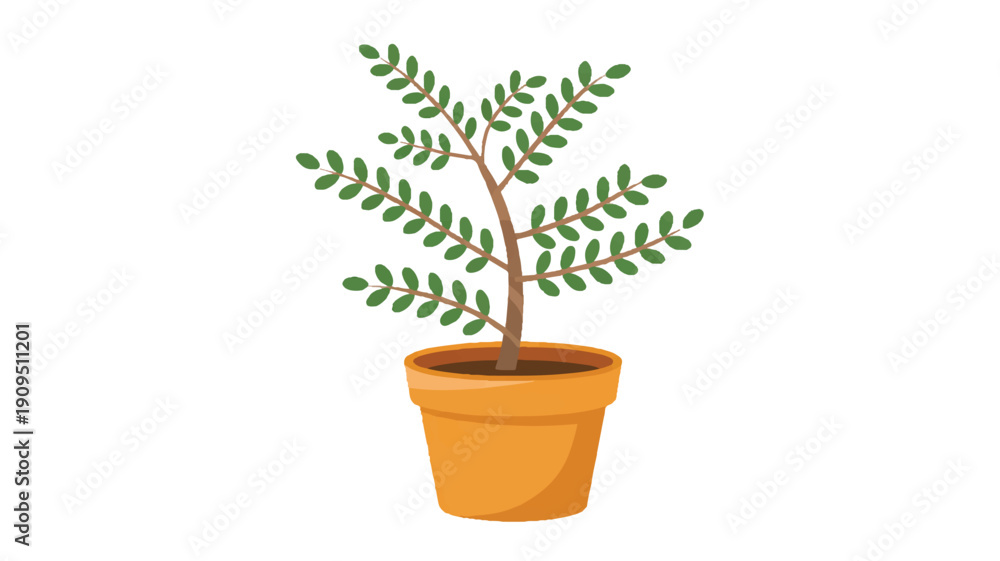 Fototapeta premium A simple illustration of a potted plant with a single brown trunk and green leaves arranged in a spiral pattern (2)_traced