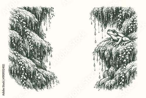 Detailed Stippling Vector Illustration of a Small Frog Sitting on a Mossy Cliff Ledge with Water Droplets and Lush Tropical Vegetation
