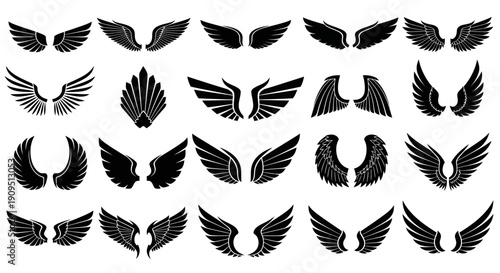 Collection of various wing designs in black and white, showcasing different styles and shapes, related to orignall eps (103).eps