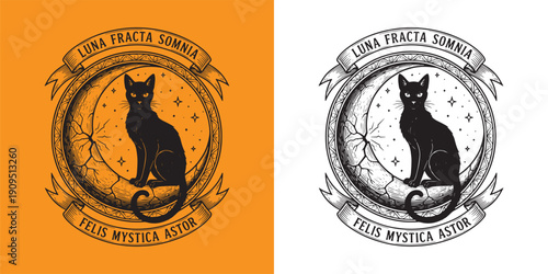 Black Mystic Cat Sitting on Crescent Moon with Felis Mystica Latin Banner