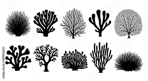 Collection of various black silhouettes of coral and plants arranged in two rows against a white background, as seen in orignall eps (114).eps file