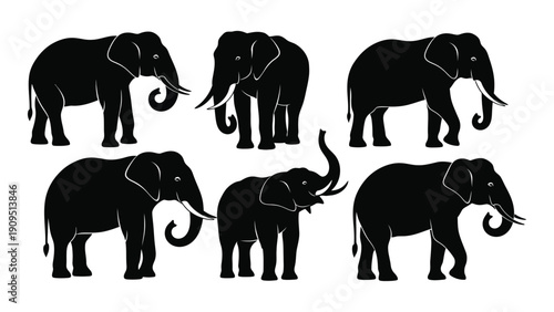 A diverse group of elephants standing in a line on a white background isolated on white background, Vector