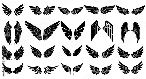 Collection of various wing designs depicted in black silhouettes against a plain background