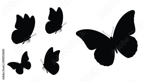 Five black butterfly silhouettes in various sizes and orientations on a white background isolated on white background, Vector