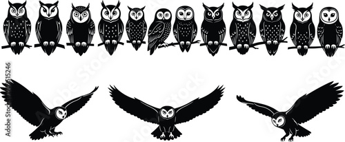 Owl Silhouette Collection Vector Illustration Black and White Nocturnal Bird Set Flying and Perched Design