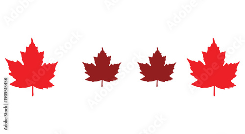 Red maple leaf silhouettes in different sizes isolated on white background.