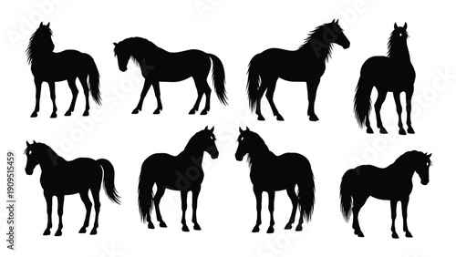 Eight black silhouettes of horses in various poses and orientations isolated on white background, Vector