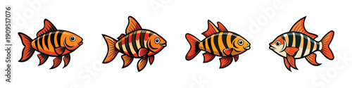 Tiger barb fish set in various poses flat design vector illustration