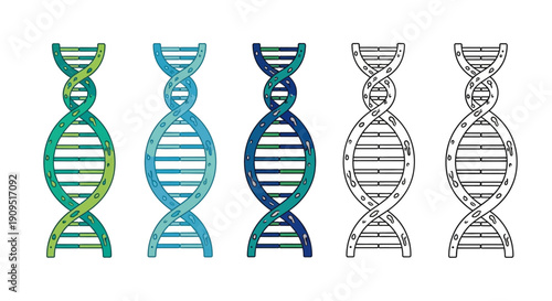 Illustration of DNA double helix structures in various colors and outline form from a front viewpoint