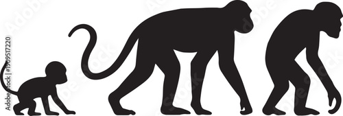Silhouette of a monkey birth to monkey death complete life season set in black and white silhouette vector with transparent background 