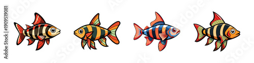 Harlequin Rasbora Fish Set, Colorful Aquarium Vector Illustration