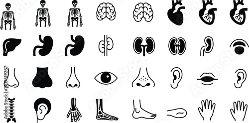 Human anatomy icon collection, black silhouette body organs and skeleton set, medical healthcare vector symbols, internal organ illustration isolated on white background