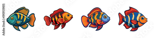 Colorful Oscar Fish Collection, Aquatic Animals, Flat Design Vector Illustration