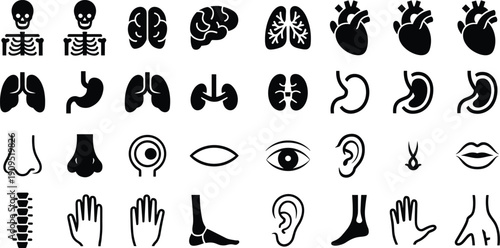Human anatomy icons set, black silhouette body organs collection, medical healthcare symbols, internal anatomy vector illustration isolated on white background