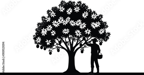 Orchard Tree Silhouette Vector Illustration Farmer Picking Fruit with Basket Black and White Agriculture Harvest Scene
