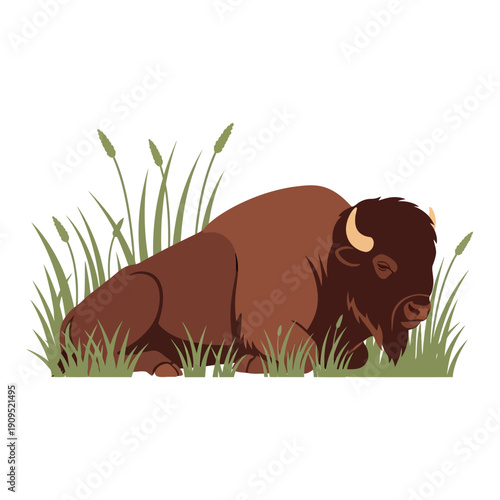 Bison resting in tall grass cartoon illustration.