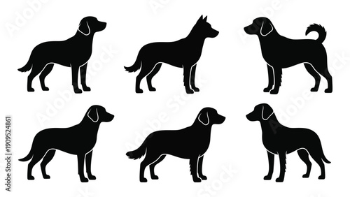 Six different silhouettes of dogs in various poses and breeds. isolated on white background, Vector