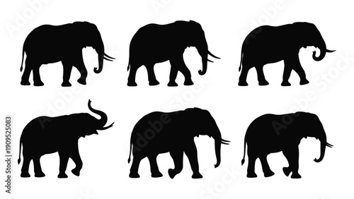 Six black silhouettes of elephants in various poses on a white background isolated on white background, Vector