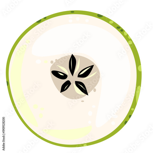 Round apple slice isolated on white background. Fresh fruit cross section illustration for food packaging, juice labels and healthy lifestyle design.