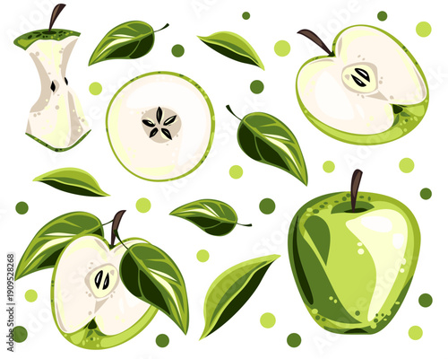 Collection of green apples, slices and leaves in flat vector style. Fresh fruit illustration isolated on white for packaging, food branding and healthy design.