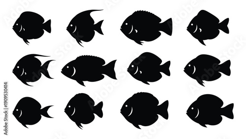 A diverse collection of twelve fish silhouettes in various shapes and sizes isolated on white background, Vector