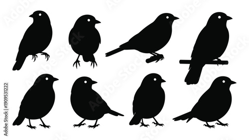A group of nine black birds in various poses and positions. isolated on white background, Vector