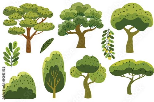 Photos set of vector acacia elements: trees, leaves, foliage branches in cartoon flat s
