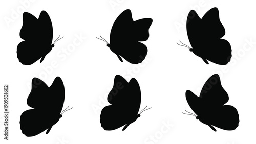 Silhouettes of butterflies in various poses and orientations. isolated on white background, Vector