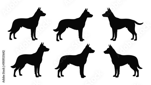 Six different silhouettes of dogs in various standing positions isolated on white background, Vector