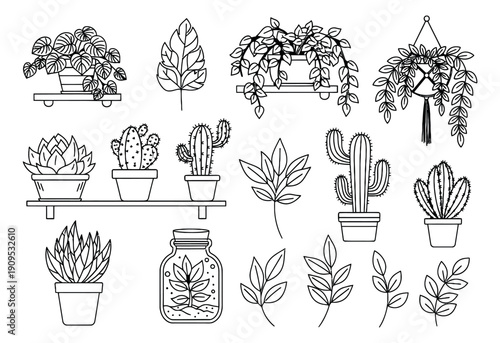 Hand drawn line art botanical set featuring succulents, cacti, and potted plants for home decoration