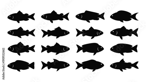 A collection of various fish silhouettes in different orientations and sizes isolated on white background, Vector