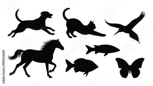 A collection of various black silhouettes of animals in motion and at rest. isolated on white background, Vector