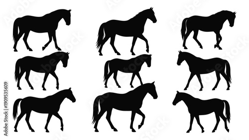 A collection of nine black silhouettes of horses in various poses and positions isolated on white background, Vector