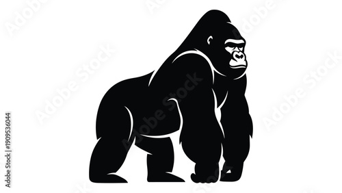 A detailed black and white illustration of a gorilla standing on all fours isolated on white background, Vector