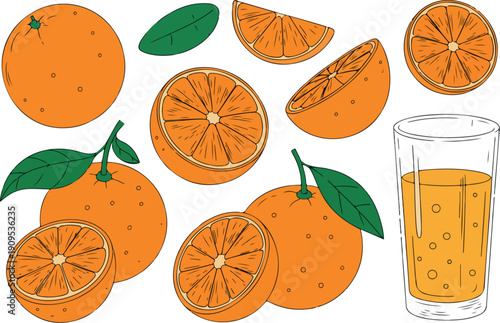 Fresh Oranges and Juice Vector Illustration Healthy Citrus Drink