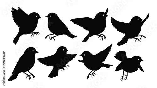 A diverse collection of black silhouettes of birds in various poses and positions isolated on white background, Vector
