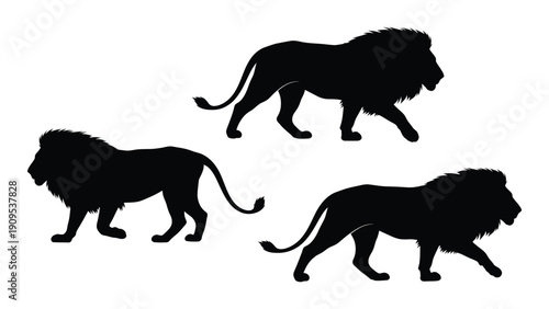 Three majestic lions walking in a line against a white background isolated on white background, Vector