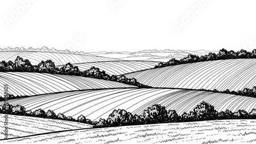 Wide-angle black and white line drawing depicting a vast hilly landscape with agricultural fields and distant trees.