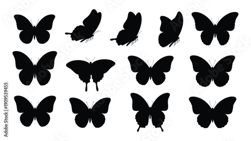 A beautiful collection of various butterfly silhouettes in black isolated on white background, Vector