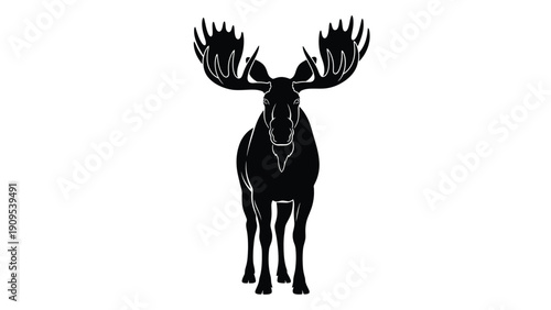 Majestic moose with large antlers standing in a natural setting isolated on white background, Vector