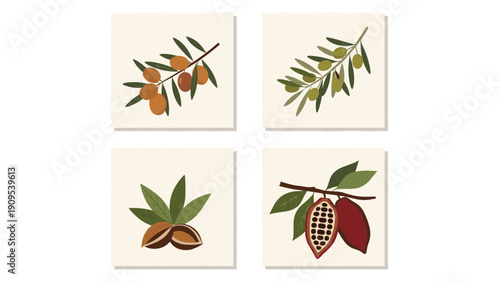 Set of four botanical icons featuring argan, olive, almond, and cocoa branches with fruit on a clean square background.