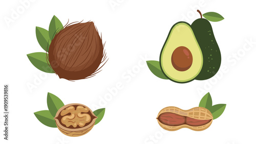 Selection of four healthy food items featuring coconut avocado walnut and peanut illustrations with green leaves.